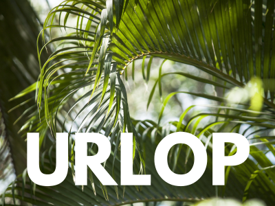 Projekt: Urlop :)